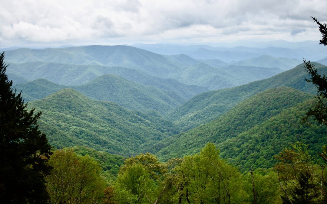 Crisis to Connection: 6 Months After Hurricane Helene in WNC 