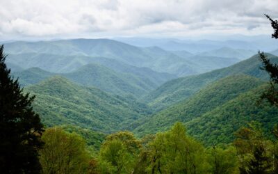 Crisis to Connection: 6 Months After Hurricane Helene in WNC 