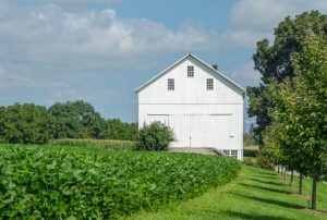 A farm in the countryside surrounded by lush green fields.